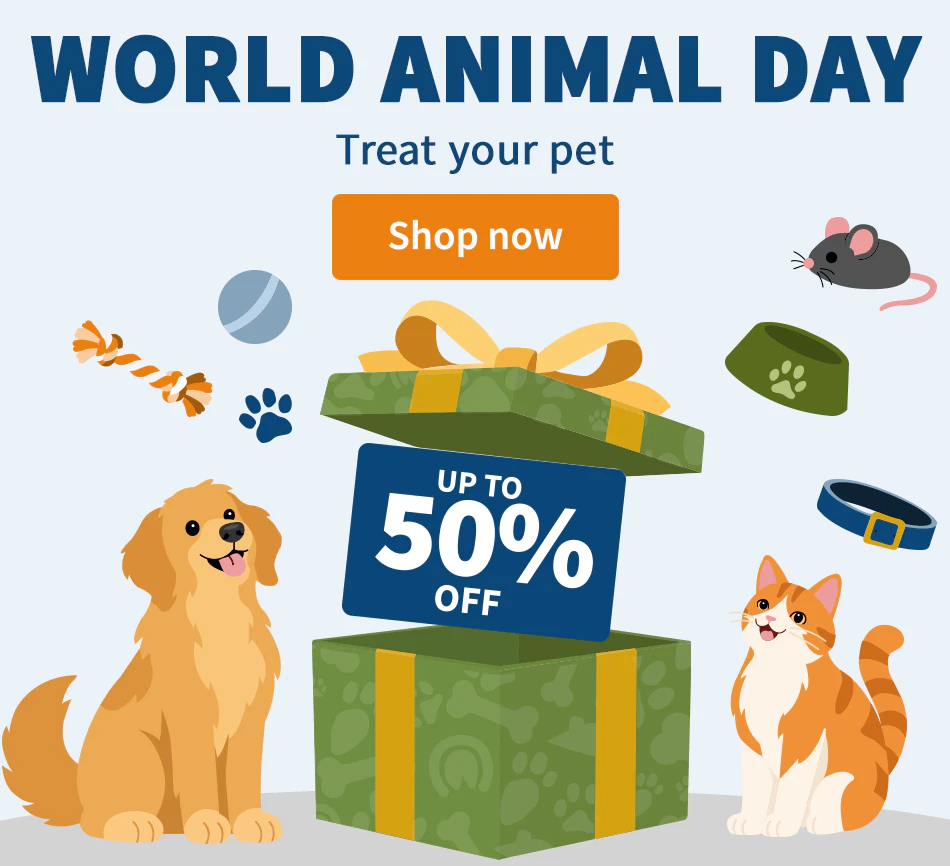 World Animal Day