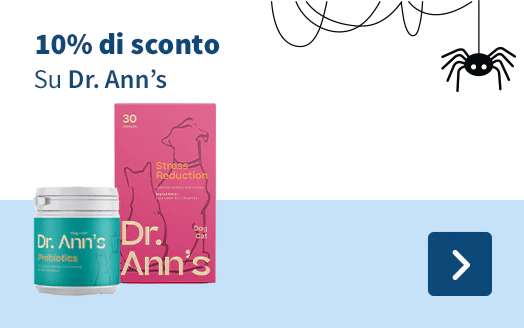 Dr. Ann's