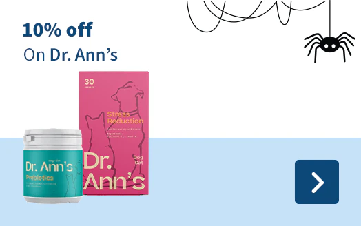 Dr. Ann's