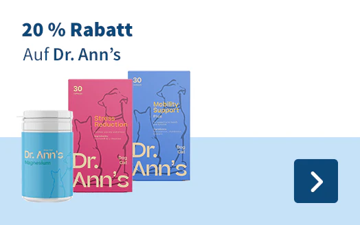 Dr. Ann's