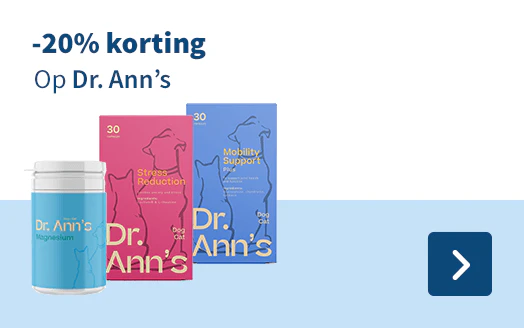 Dr. Ann's