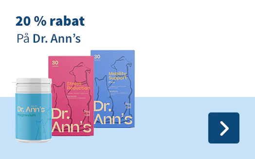 Dr. Ann's