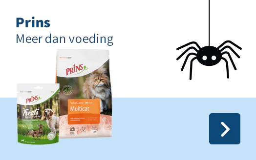 Prins