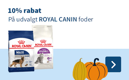 Royal Canin
