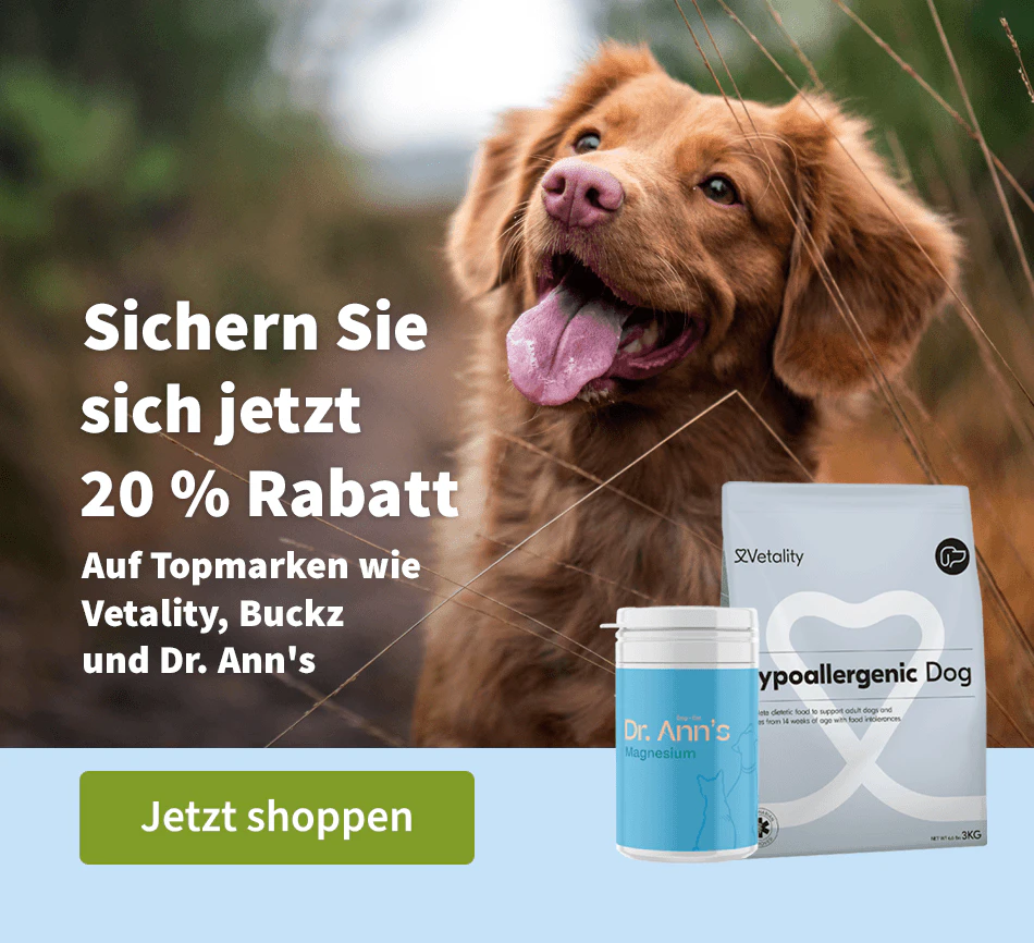 Sichern Sie sich jetzt 20 % Rabatt