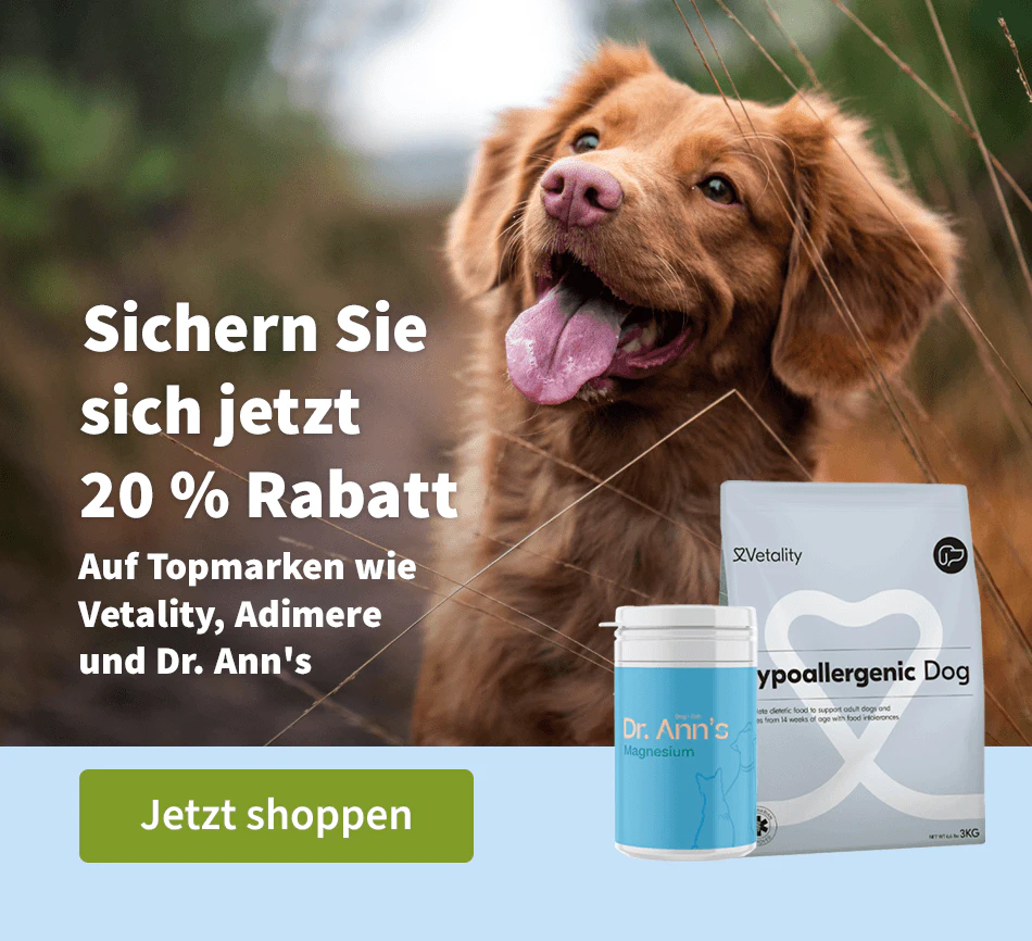 Sichern Sie sich jetzt 20 % Rabatt