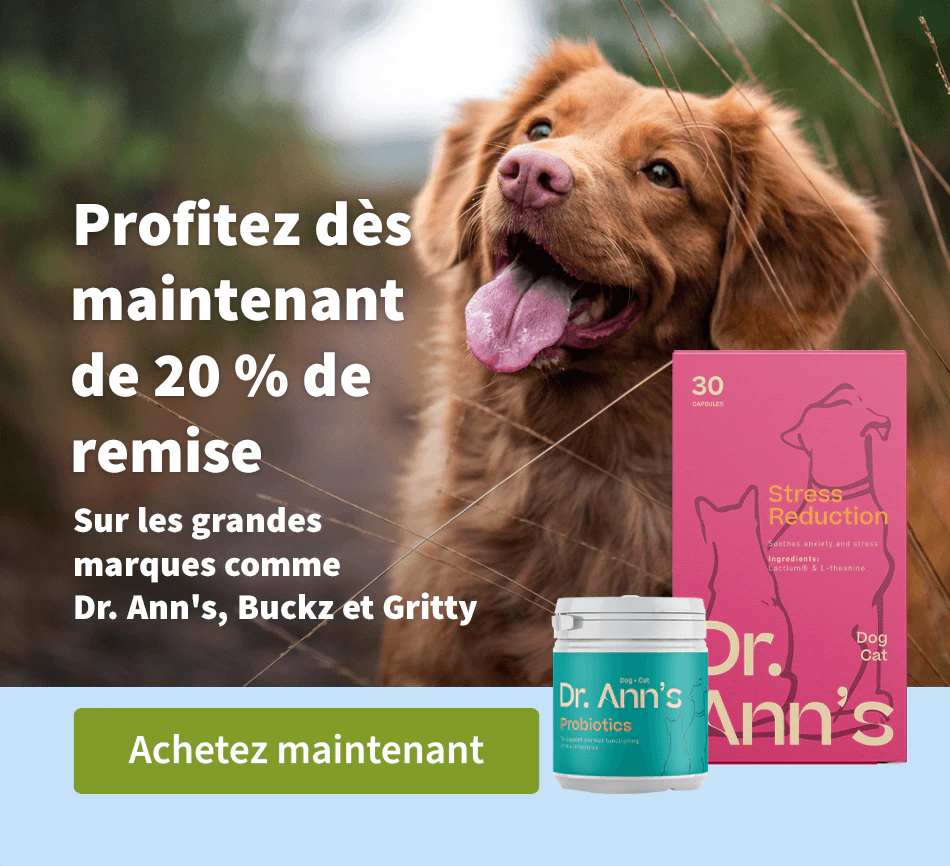 Profitez dès maintenant de 20 % de remise 