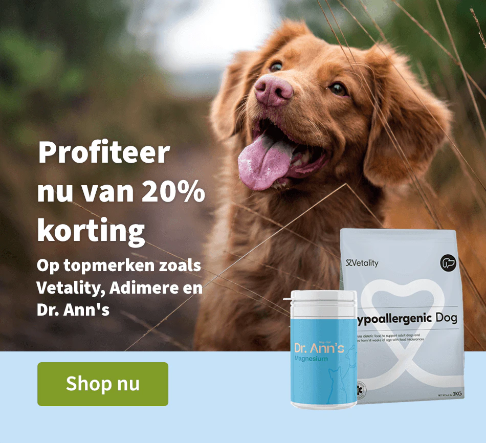 Profiteer nu van 20% korting