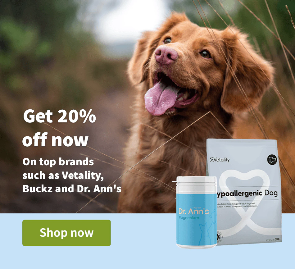 Get 20% off now