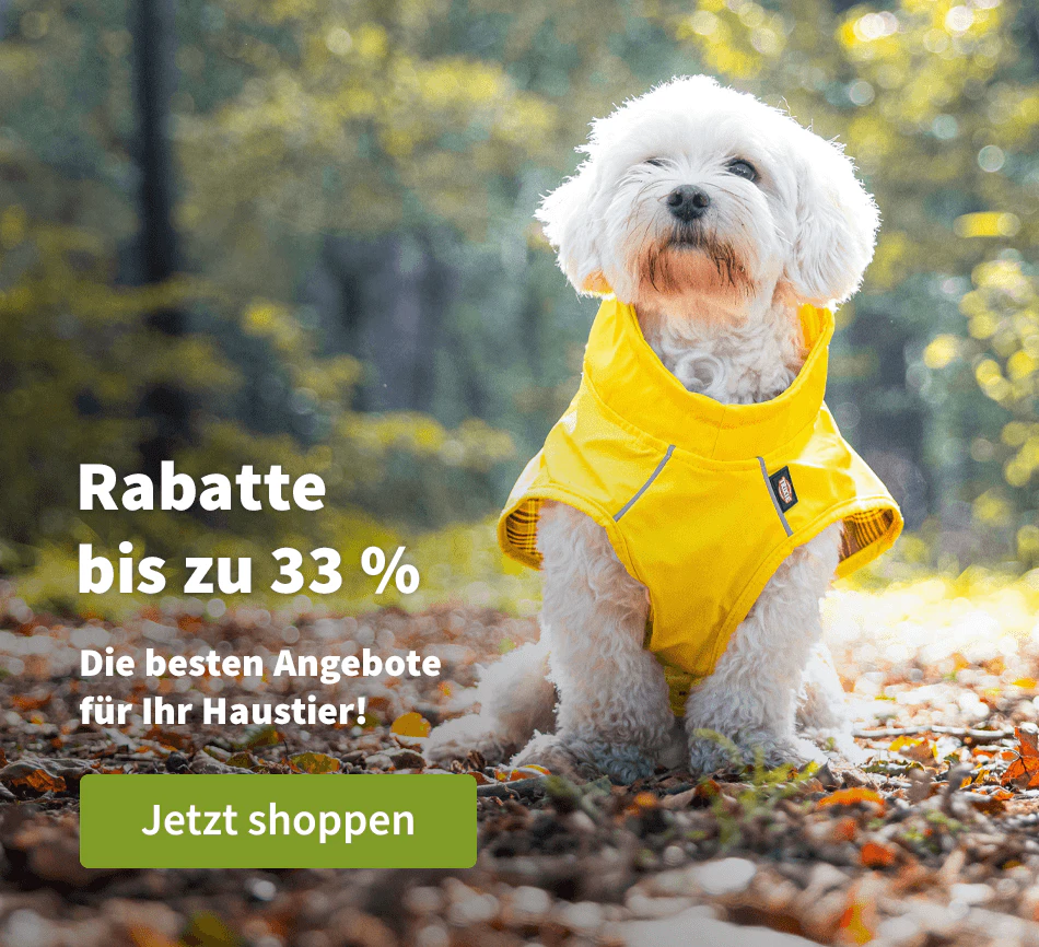 Rabatte bis zu 33 %