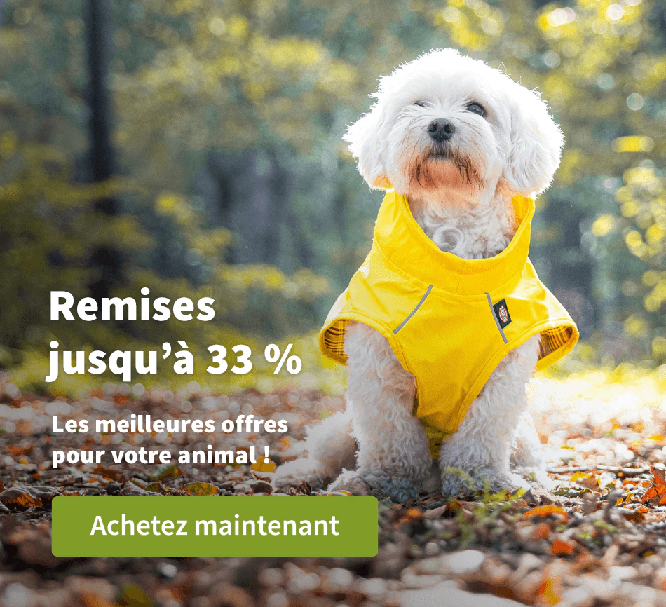 Remises jusqu'à 33 % 