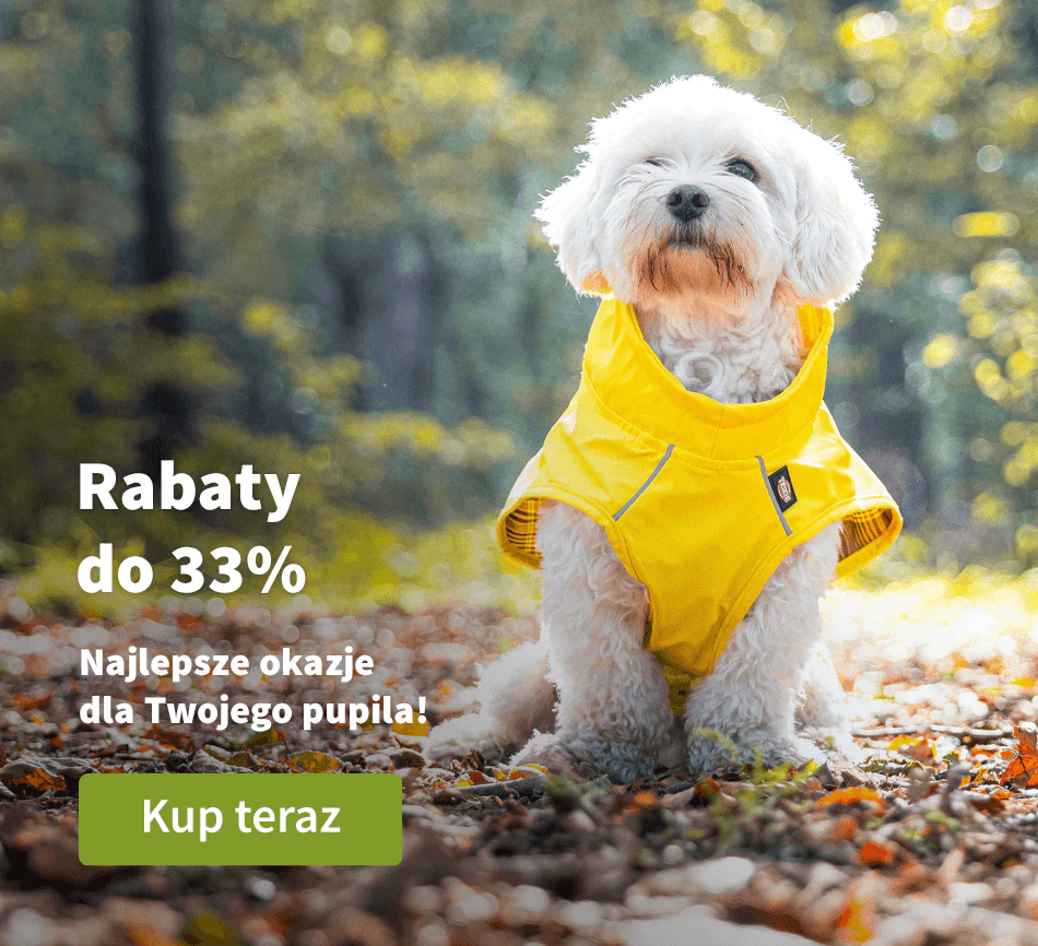 Rabaty do 33%