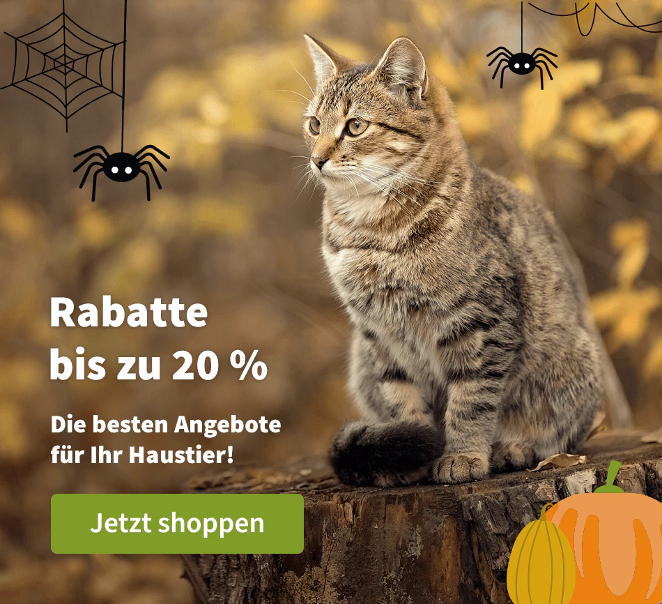 Rabatte bis zu 20 %