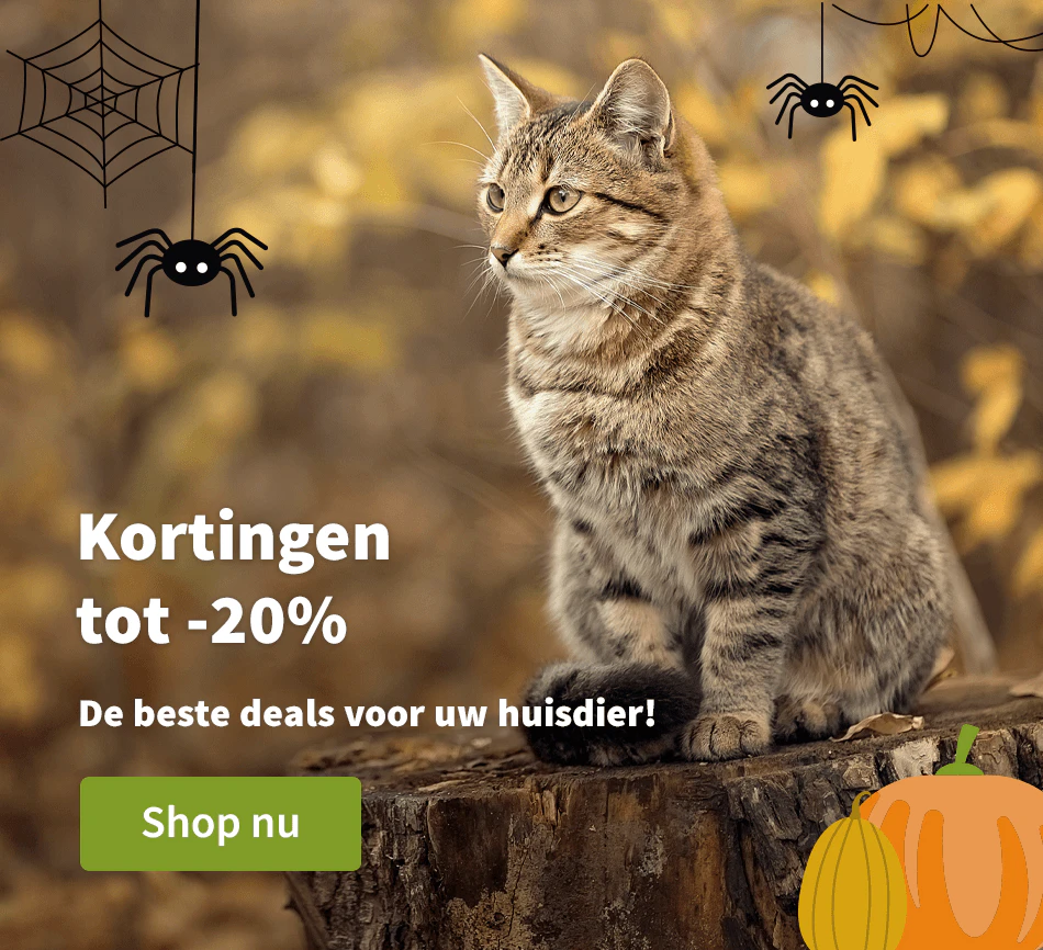 Kortingen tot -20%