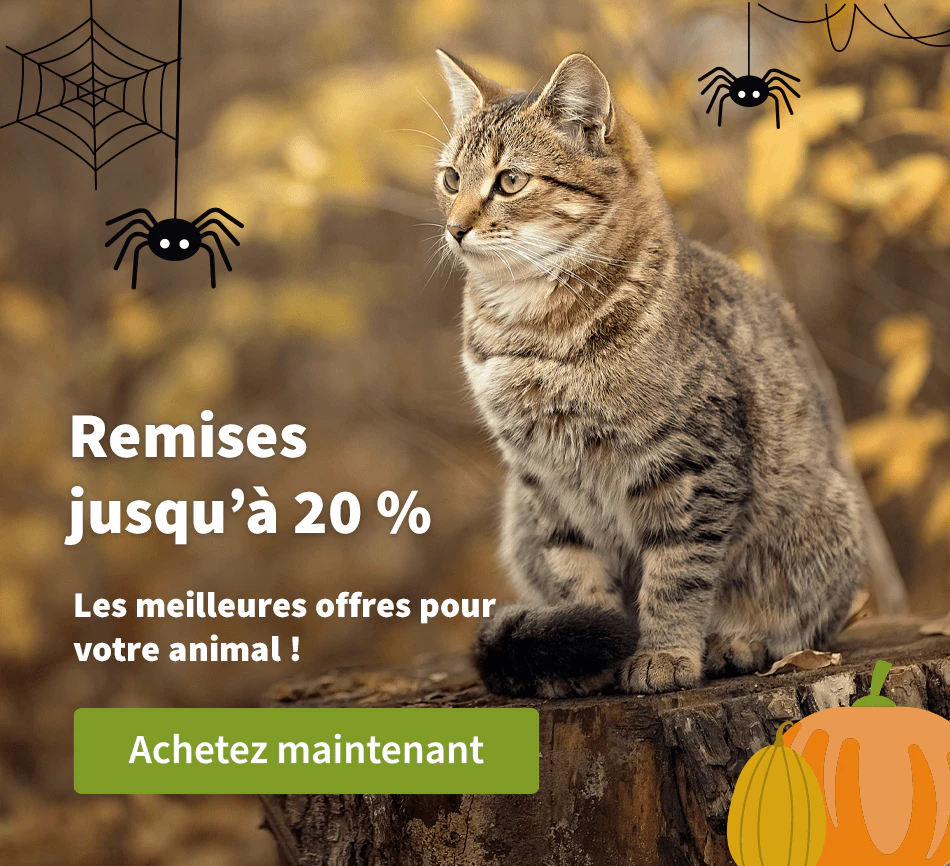Remises jusqu'à 20 %