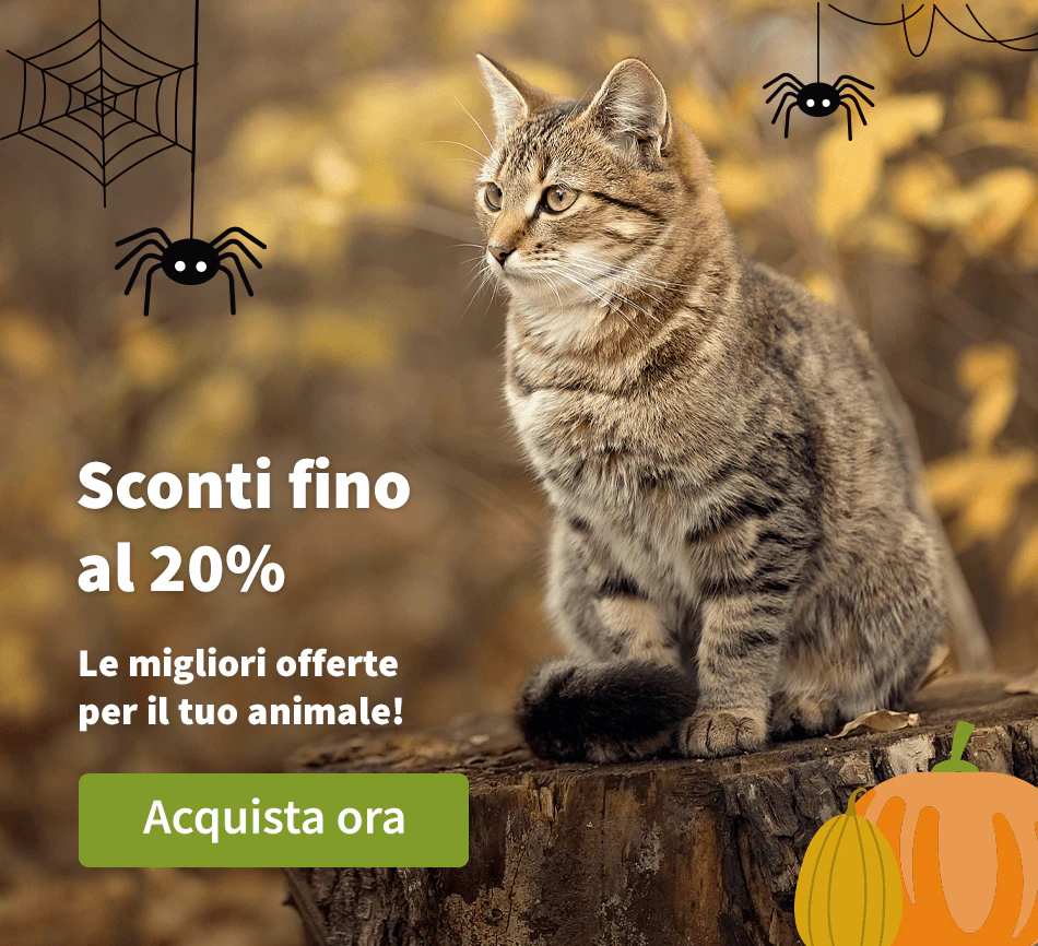 Sconti fino al 20%