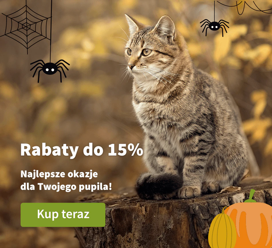 Rabaty do 15%