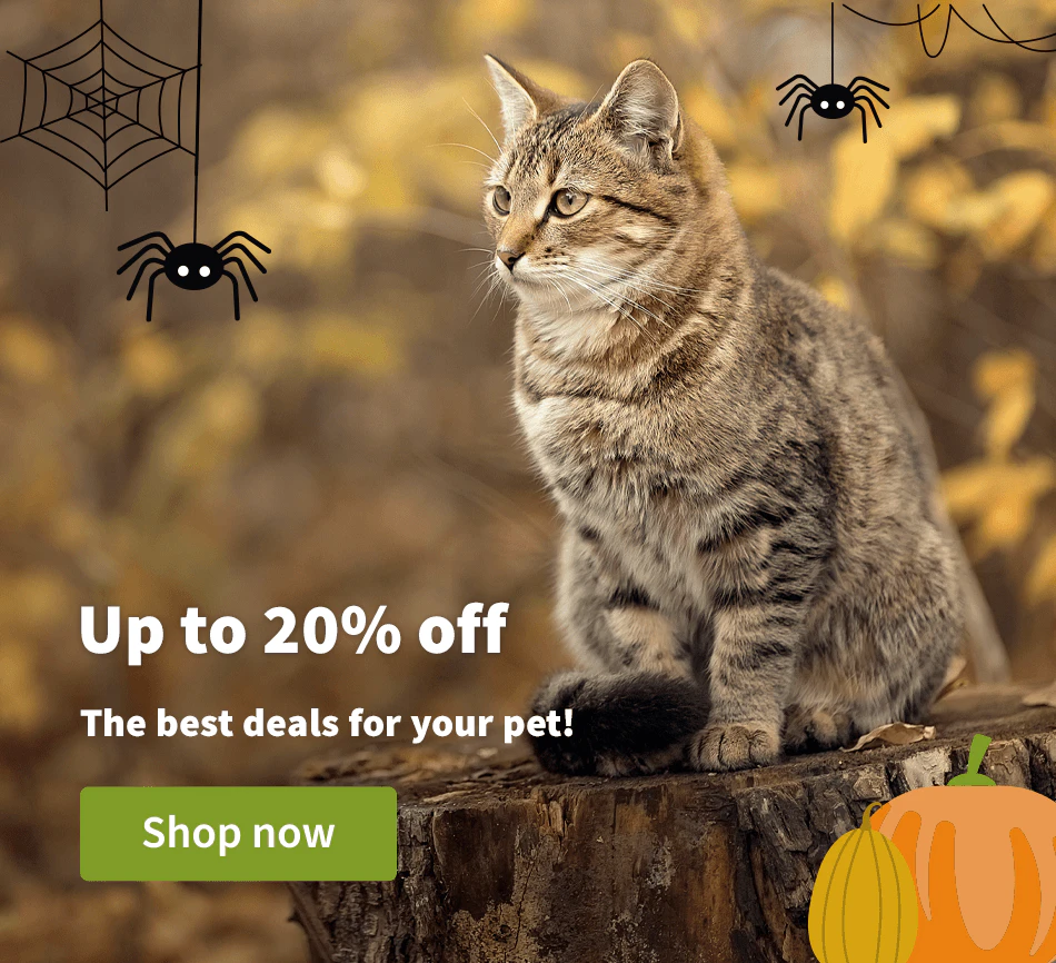 Up to 20% off