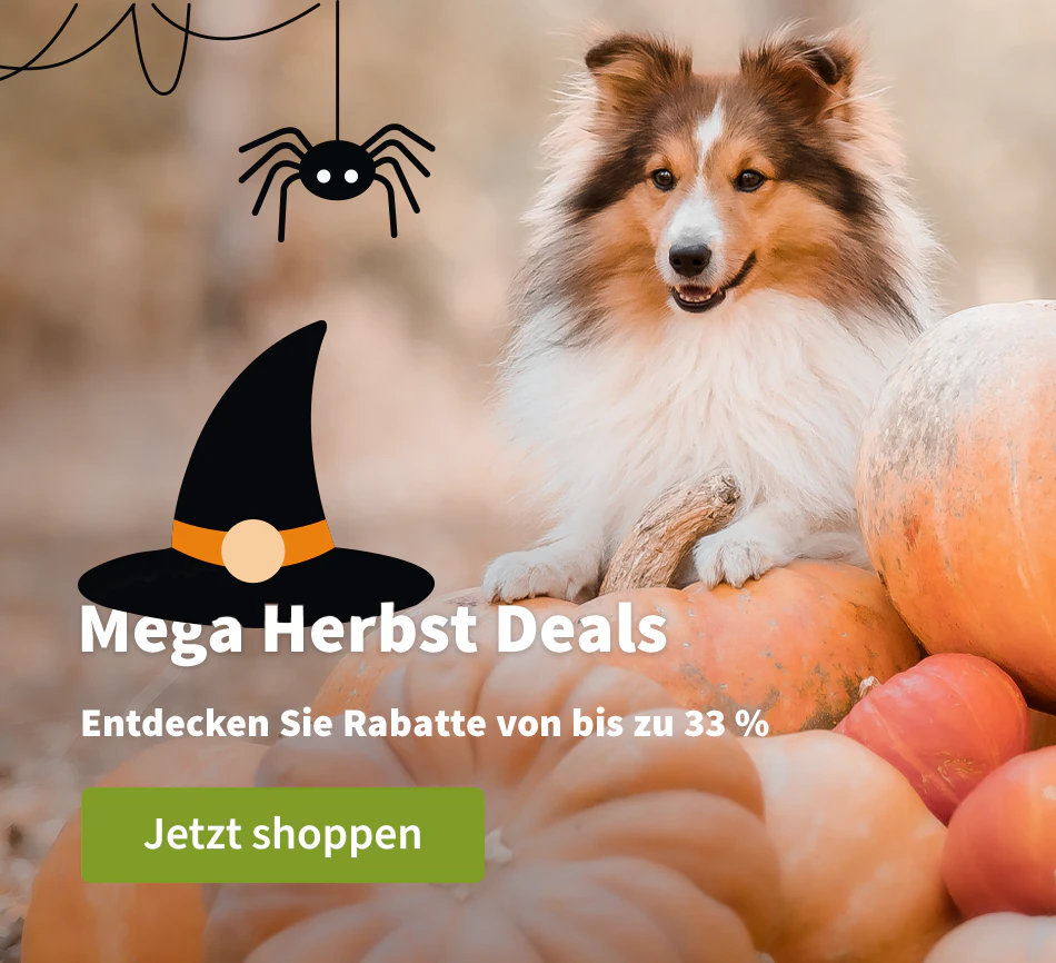 Mega Herbst Deals 
