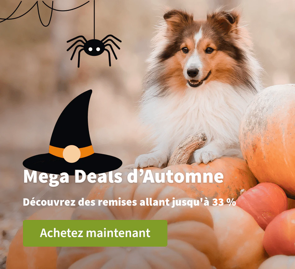 Mega Deals d'Automne