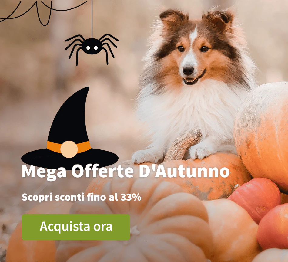 Mega Offerte D'Autunno
