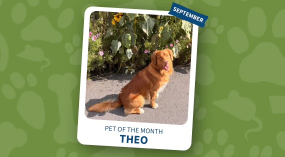 pet of the month september